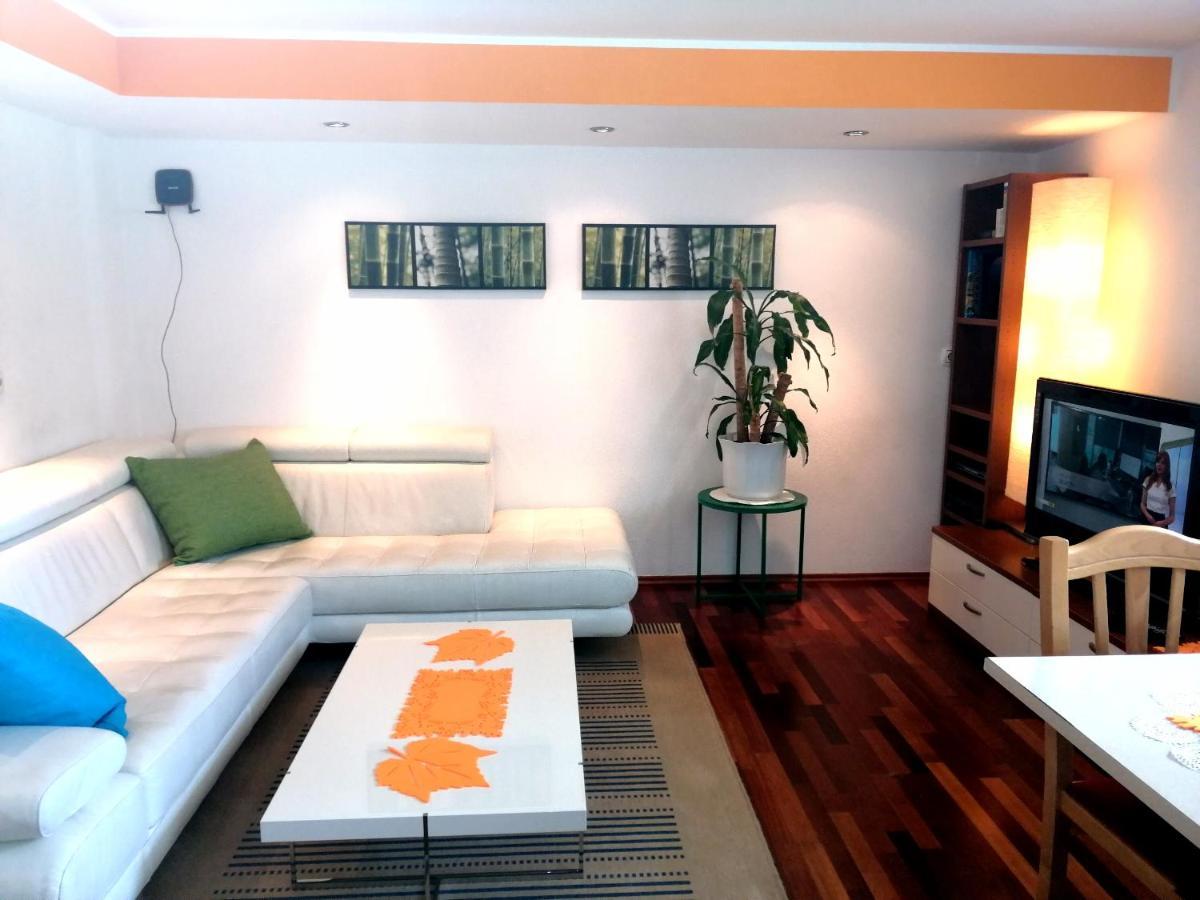 Mateja House - Apartments In Zirovnica Rodine Exteriör bild